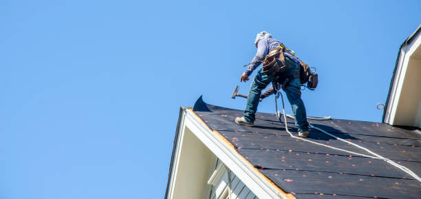 Best Shingle Roofing Installation  in Benld, IL